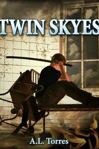 Cover of Twin Skyes