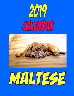 Book cover for 2019 Calendar Maltese