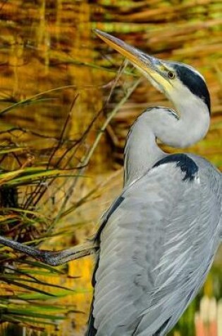 Cover of Grey Heron On the Hunt in the Reeds Journal