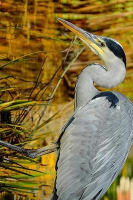 Book cover for Grey Heron On the Hunt in the Reeds Journal