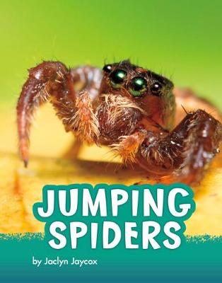 Book cover for Jumping Spiders