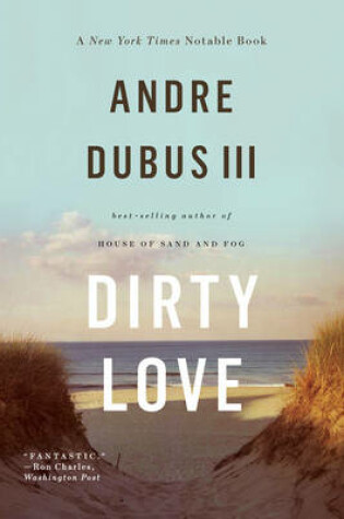 Cover of Dirty Love