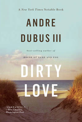 Book cover for Dirty Love