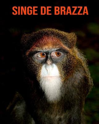 Book cover for Singe de Brazza