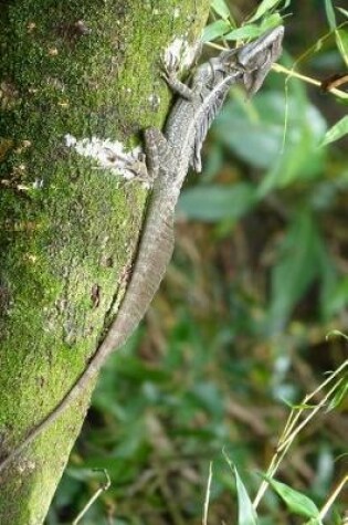 Cover of Basilisk Lizard (Basiliscus Basiliscus) in a Tree Journal