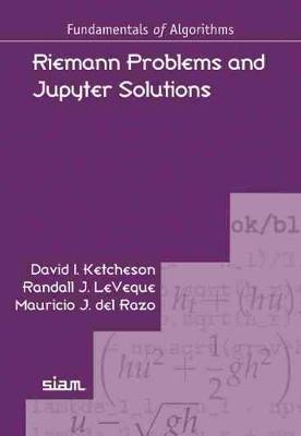 Cover of Riemann Problems and Jupyter Solutions