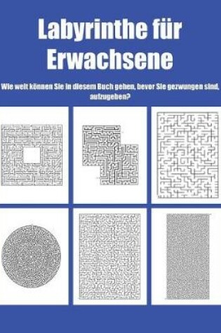 Cover of Labyrinthe fur Erwachsene