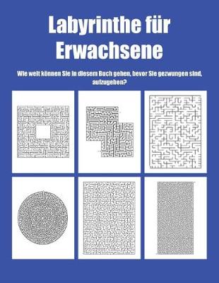 Book cover for Labyrinthe fur Erwachsene