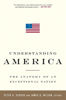 Book cover for Understanding America