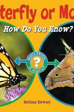 Cover of Butterfly or Moth?: How Do You Know?