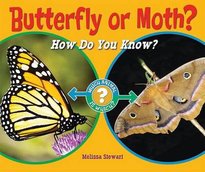 Book cover for Butterfly or Moth?: How Do You Know?