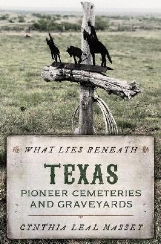 Cover of What Lies Beneath