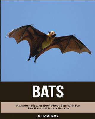 Book cover for Bats