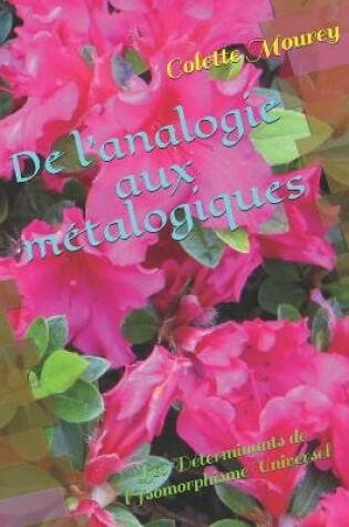 Cover of De l'analogie aux metalogiques