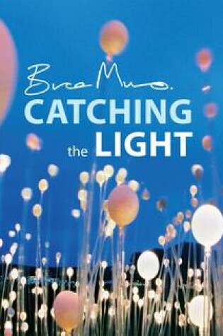 Cover of Catching the Light