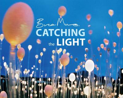 Book cover for Catching the Light