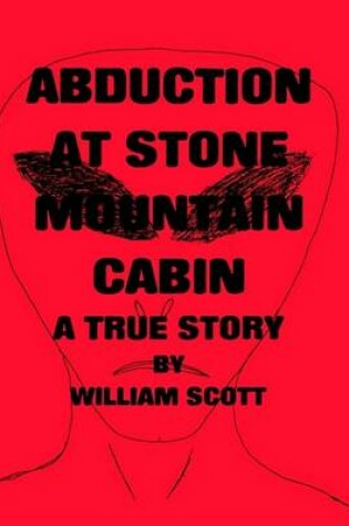 Cover of Abduction at Stone Mountain Cabin