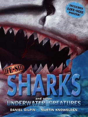 Book cover for Life-Size Sharks and Other Underwater Creatures