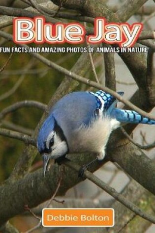 Cover of Blue Jay