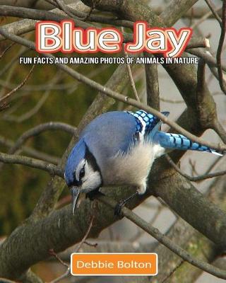 Book cover for Blue Jay