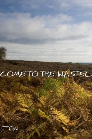 Cover of Welcome To The Wasteland
