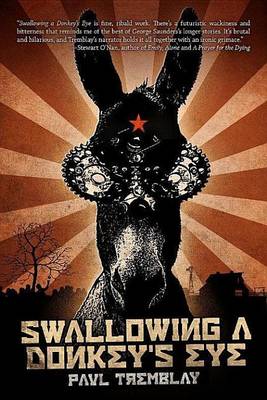 Book cover for Swallowing a Donkey's Eye