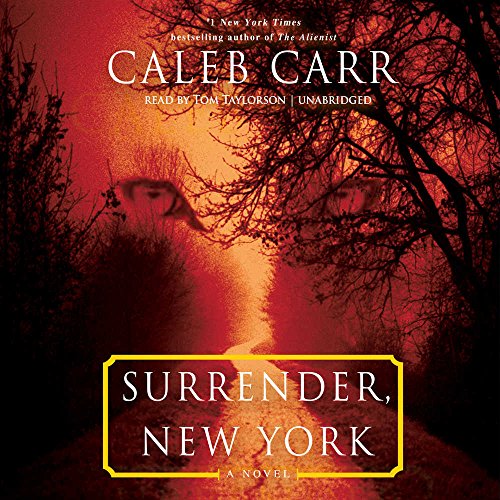 Book cover for Surrender, New York