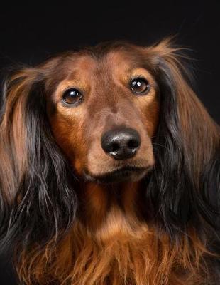 Book cover for Long-haired Dachshund Notebook