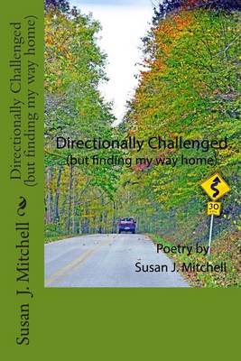 Book cover for Directionally Challenged