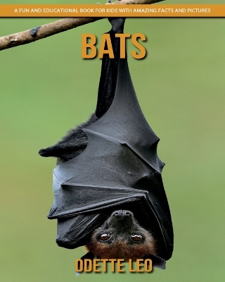 Book cover for Bats