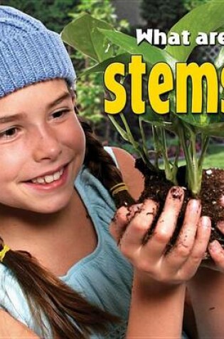 Cover of What are stems?