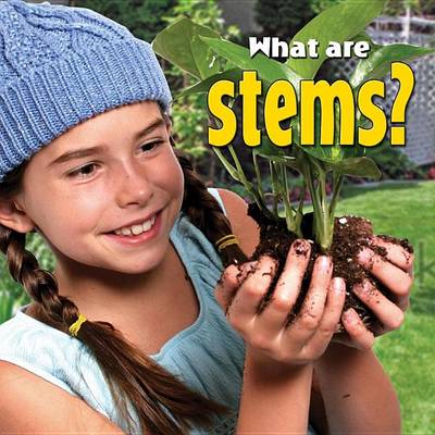Book cover for What are stems?