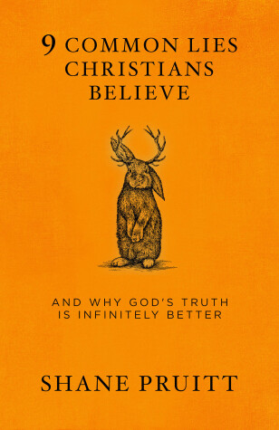 Book cover for 9 Common Lies Christians Believe