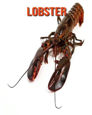 Book cover for Lobster