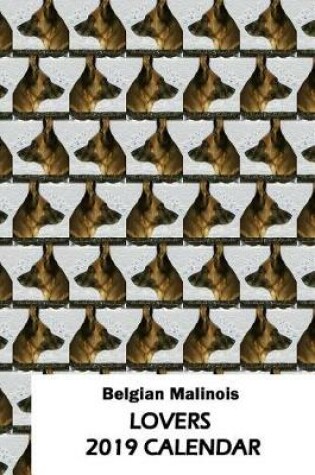 Cover of Belgian Malinois Lovers 2019 Calendar