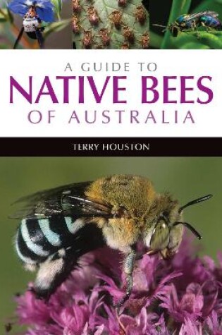 Cover of A Guide to Native Bees of Australia