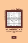 Book cover for Numbricks - 120 Easy To Master Puzzles 11x11 - 6
