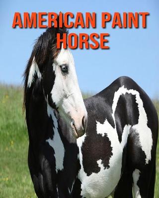 Book cover for American Paint Horse