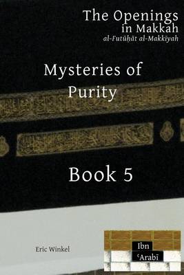 Book cover for Mysteries of Purity