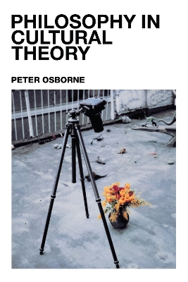 Book cover for Philosophy in Cultural Theory