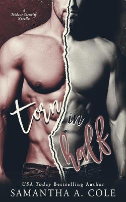 Book cover for Torn in Half