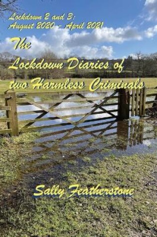 Cover of Lockdown Diary 2