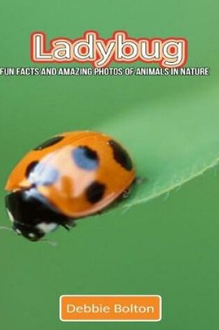 Cover of Ladybug