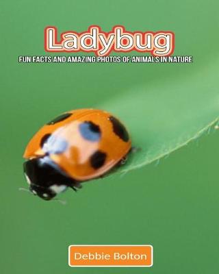 Book cover for Ladybug