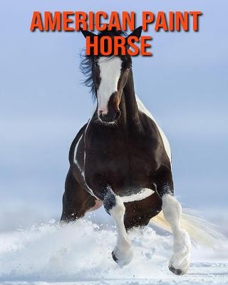 Book cover for American Paint Horse