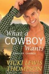 Book cover for What a Cowboy Wants
