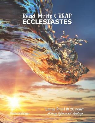 Cover of Read, Write & REAP ECCLESIASTES