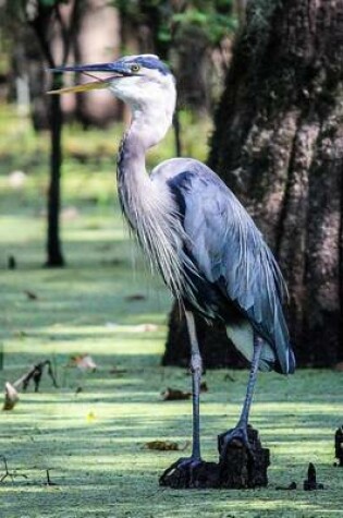 Cover of Great Blue Heron Bird Journal