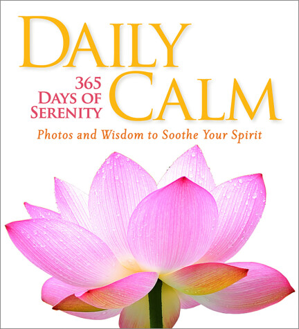 Book cover for Daily Calm