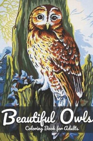 Cover of Beautiful Owls Coloring Book For Adults